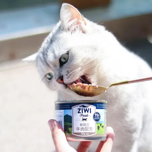 猫咪的主食罐可以不同品牌混着喂吗?